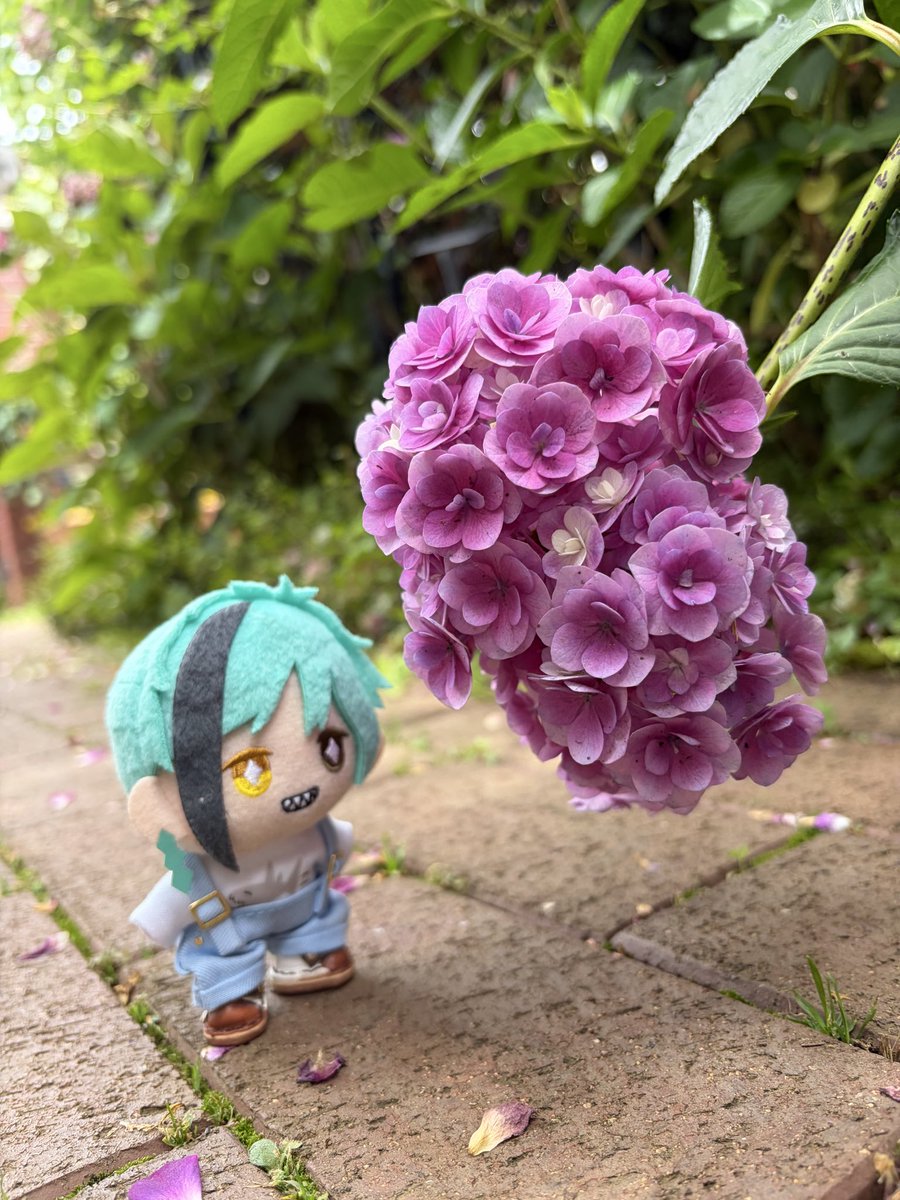 aki_momo_milk's tweet photo. あとこの一枚も https://t.co/tCExL8YAe1