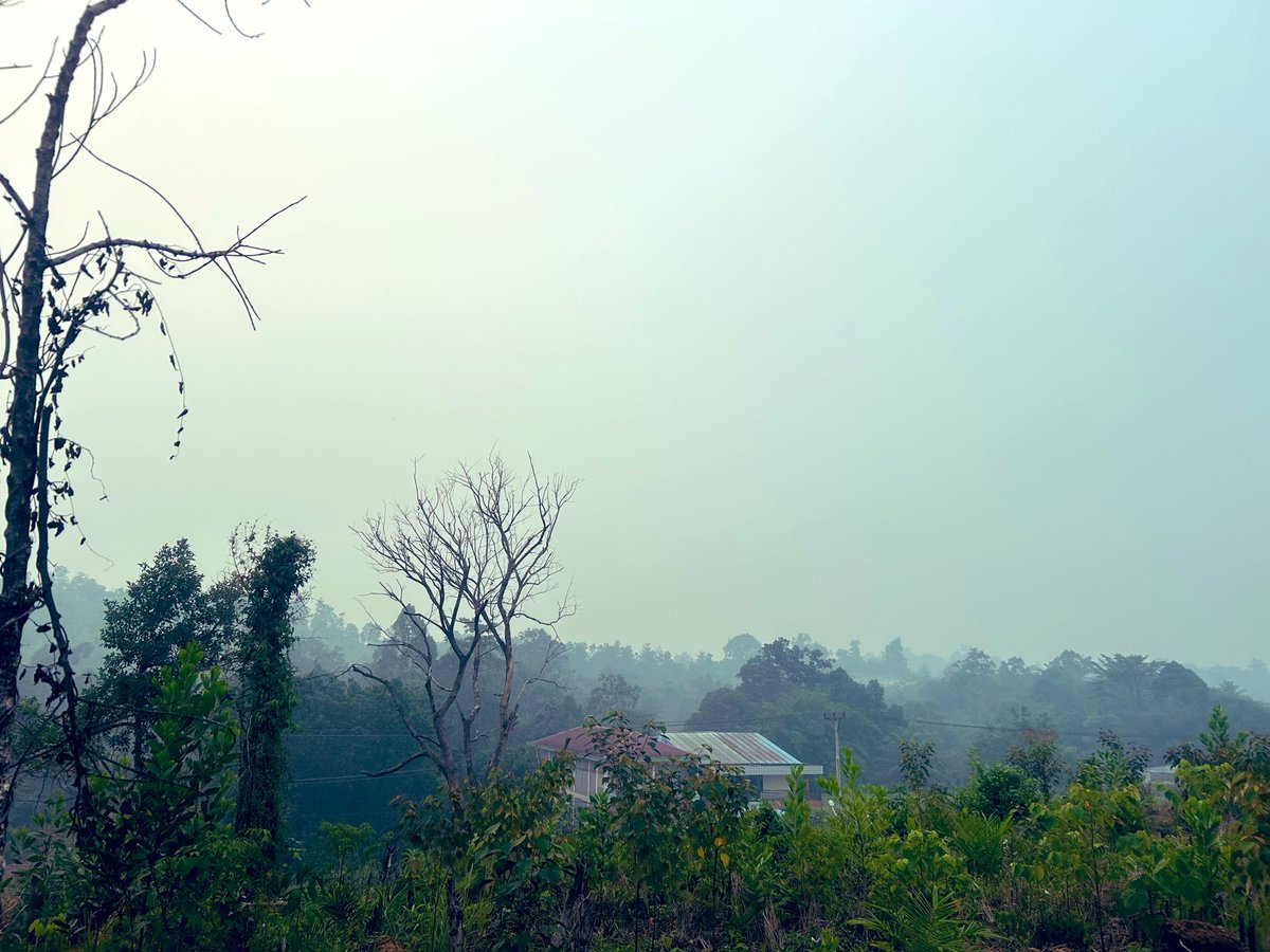 DamianLedger1's tweet photo. Ini langit sore..
Tidak ada lagi jingga, tidak ada lagi biru https://t.co/M84qWhcdRF