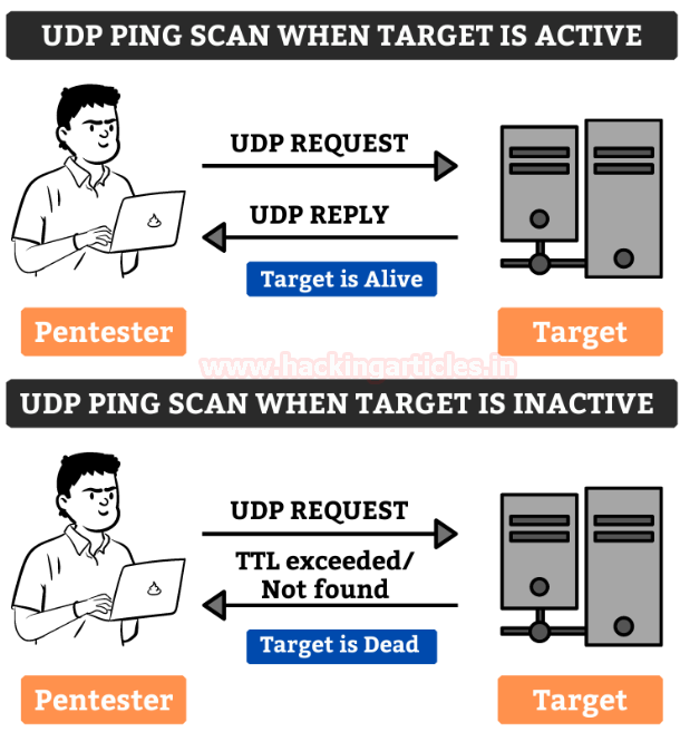hackinarticles's tweet photo. 📡 Nmap for Pentester: Host Discovery

🔥 Telegram: https://t.co/upuP8k8ckB
✴ Twitter: https://t.co/Za7rYILz6E

Host Discovery is the first step in network reconnaissance. It helps pentesters identify which systems are alive in a network before performing deeper scans like port scanning or service enumeration.

⚡ Techniques covered:

📡 Ping Sweep (-sn)
🤝 TCP SYN Ping (-PS)
📩 TCP ACK Ping (-PA)
📨 ICMP Echo Ping (-PE)
📦 UDP Ping (-PU)
🌐 IP Protocol Ping (-PO)
🖧 ARP Ping (-PR)
🚫 No Ping Scan (-Pn)

🎯 These techniques help pentesters identify live hosts, bypass firewall restrictions, and improve target discovery during information gathering.

📖 Read the full guide:
https://t.co/zeVFEgF5bi

#CyberSecurity #Pentesting #Nmap #RedTeam #InfoSec #HackingArticles 🚀