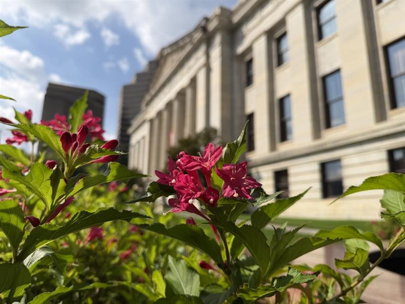 OhioStatehouse's tweet photo. A beautiful day with sun after the rain on Capitol Square, downtown Columbus.  Enjoy a walk outside! https://t.co/wARFuDEkzH