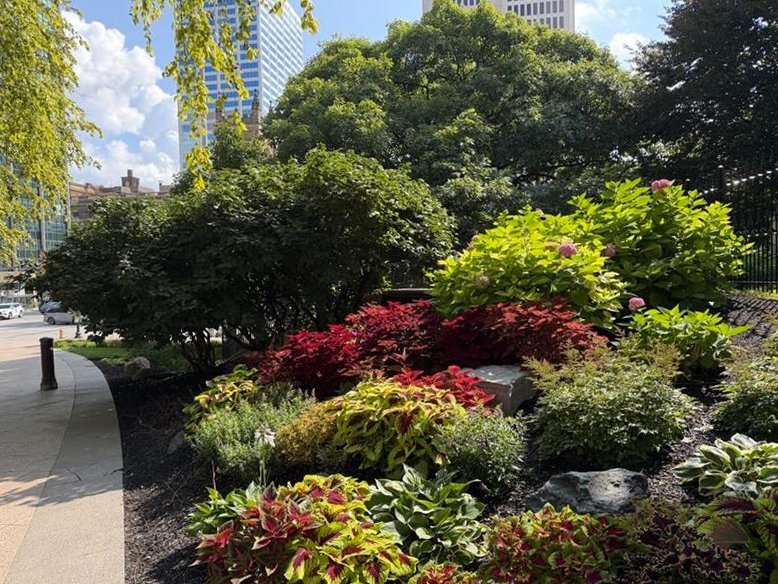 OhioStatehouse's tweet photo. A beautiful day with sun after the rain on Capitol Square, downtown Columbus.  Enjoy a walk outside! https://t.co/wARFuDEkzH