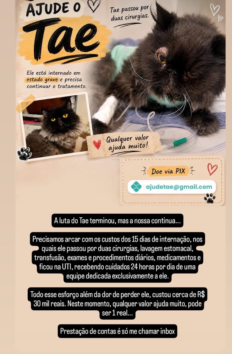 pareidefumarpod's tweet photo. gente como esse tweet viralizou queria só deixar essa vakinha que meu irmão criou, infelizmente criamos uma divida de 30 mil pra tentar salvar o bebe e qualquer quantia ajudaria nesse momento, quem puder divulgar ou ajudar, sem compromisso nenhum, obrigada 🤍 https://t.co/8vrtBN4mfl