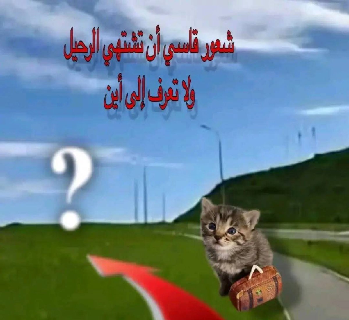 Mostafa2sscc's tweet photo. https://t.co/5XmzdUD2n1