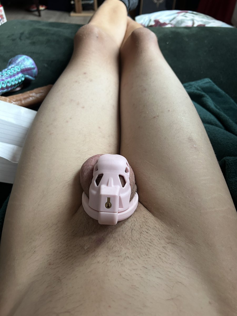 PlantNerd161's tweet photo. Chasity Day 2 

#faggot #exposed #exposedfaggot #schwuchtel #chastity #locked https://t.co/B9lPyiq6Jo