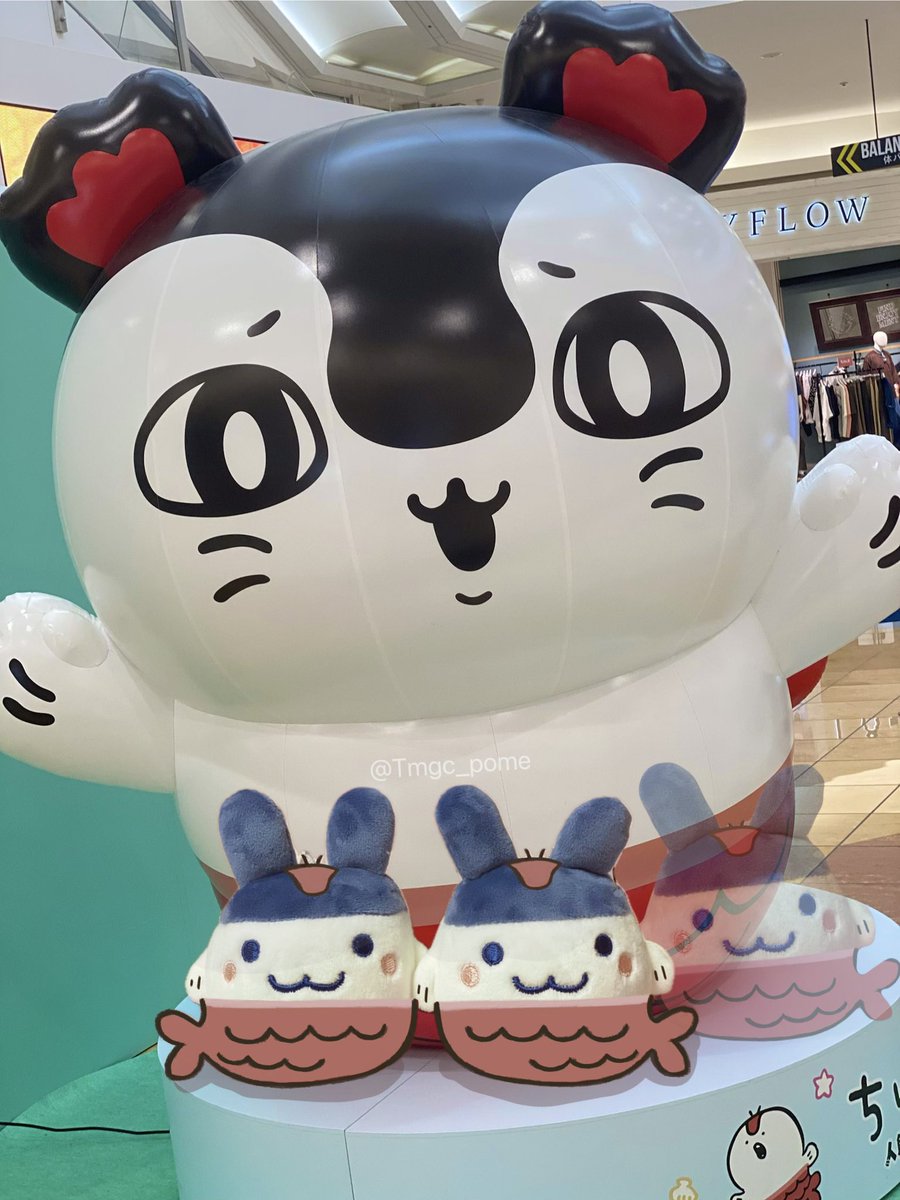 Tmgc_pome's tweet photo. ほんとは みみっち 3匹だったの… https://t.co/hwN77lUo5j
