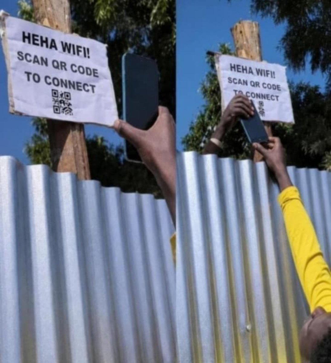 Dee87007706's tweet photo. 😂😂 When the Wi-Fi is so important, you’re willing to risk your life for the connection 😂😭 https://t.co/eCEelYoAQS