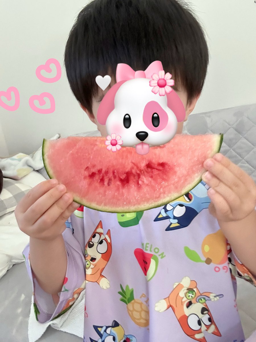 hamutaro3838's tweet photo. ちなみに先週末はスイカデビュー🍉🍉🍉🍉🍉🍉🍉🍉🍉🍉💓🩷💓🩷 https://t.co/M2wKUHF9Ya