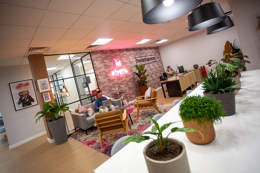 headspacegroup's tweet photo. 🪴 🌵 🎍 
Plants make everyone feel better. 💚 
#coworking #flexibleworkspace #workspace #biophilia #wellbeing 🌱 https://t.co/eV6hRp6uRT