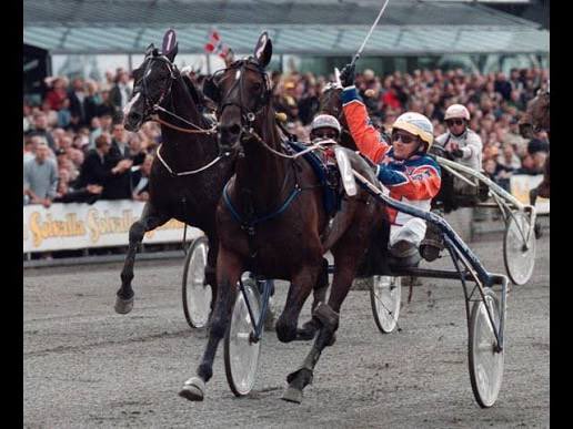 _kirstenelise's tweet photo. The best horse in the history of our sport has passed away 🤍

Varenne, ‘’El Capitano’’.

He reached the remarkable age of 31, and will forever be remembered by many around the world. 

Grazie Mille. 

Rest easy now, champion 🌹 https://t.co/qG5TiXRyBf