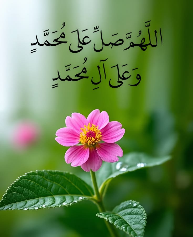 sunaonewshd's tweet photo. My 1st Post on x https://t.co/nlFYf8mju2