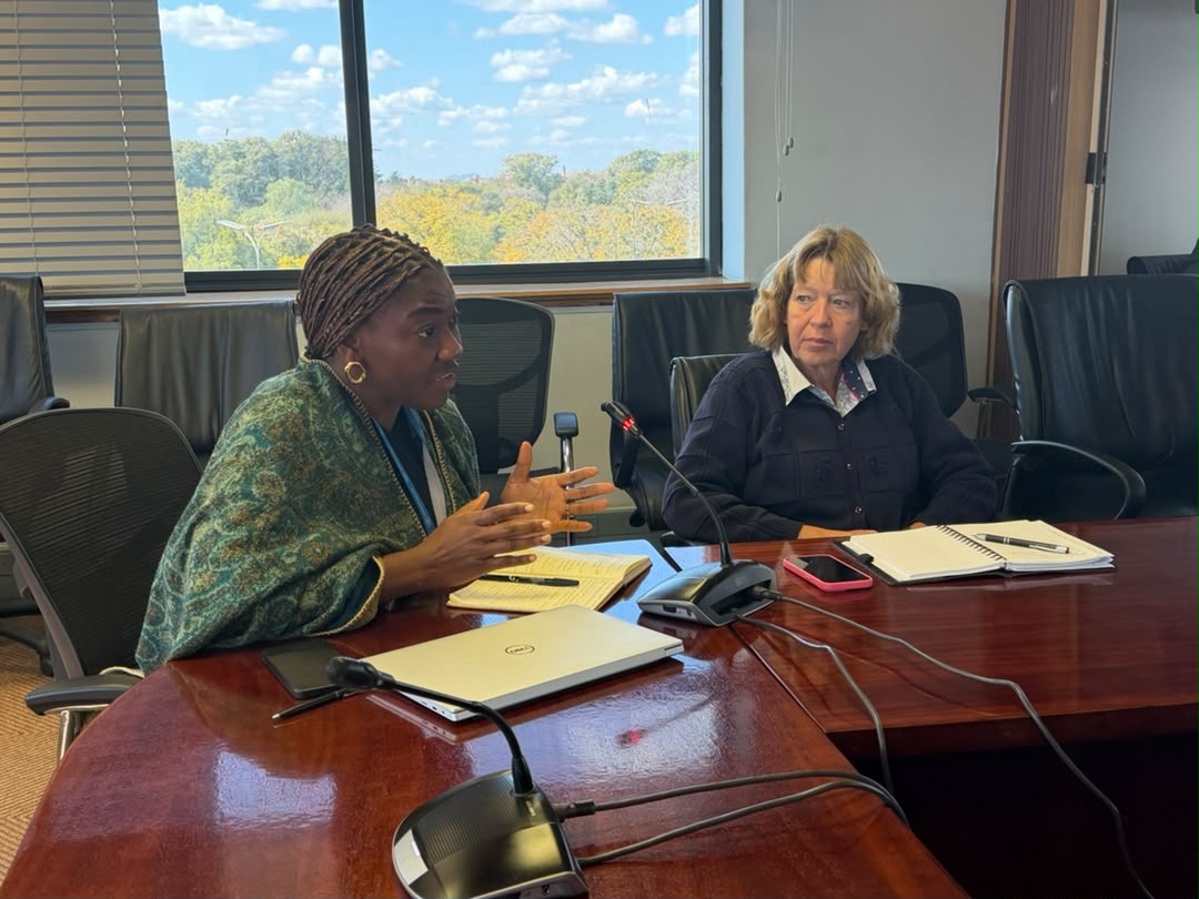 UN_Botswana's tweet photo. 🇧🇼 Dialogue, collaboration, and solutions. 

The Diplomatic Corps, UN colleagues, and independent experts met at the UN House to discuss Botswana’s economic outlook and explore pathways to sustainable and inclusive economic transformation.  #InclusiveGrowth #DevelopmentDialogue https://t.co/ae9Zdg9Kzr