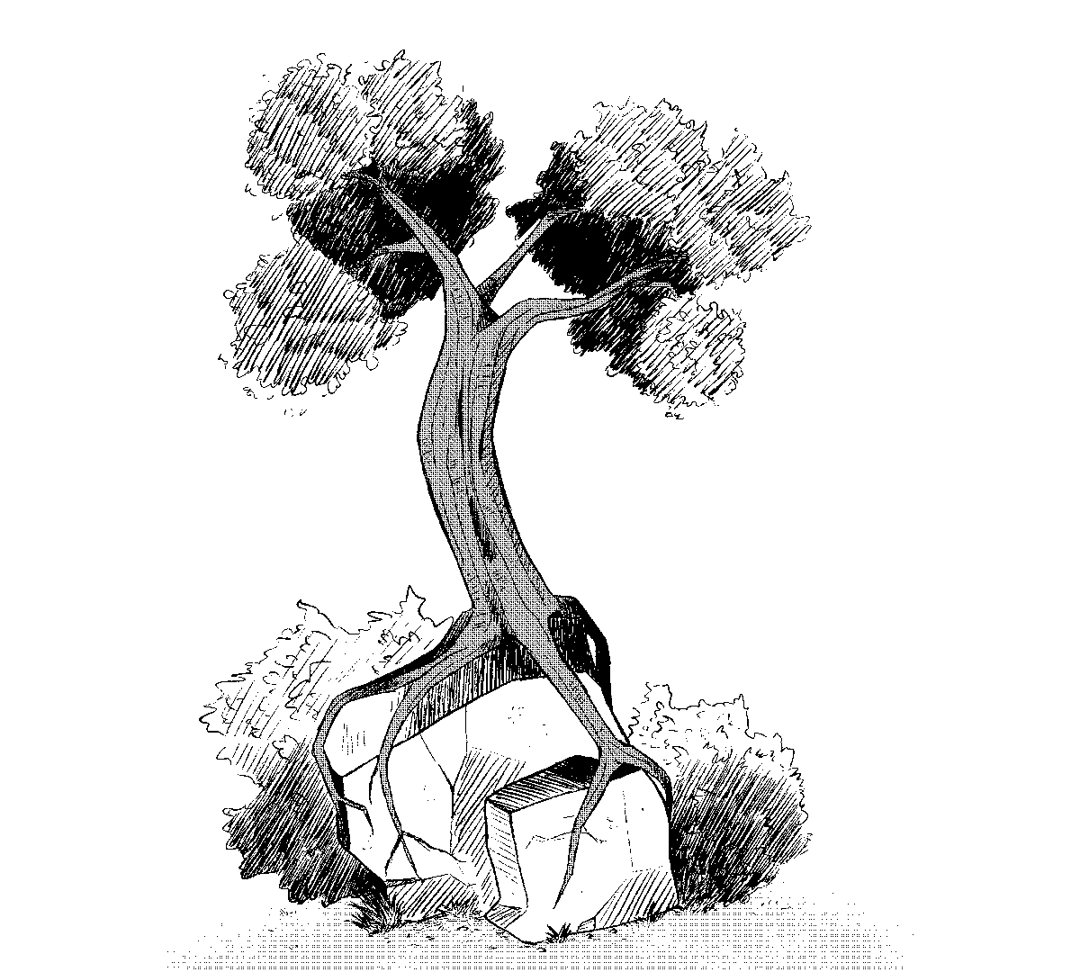 Siaddievisions's tweet photo. There are many different ways to ink trees. For this one, I used the hatching technique. 

#MangaStyle #digitalart #inkdrawing https://t.co/gffr0MBZpX