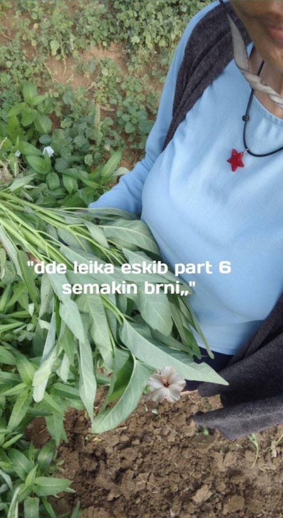 itesyte's tweet photo. di kebun sayur

https://t.co/RUqoc0fonC

https://t.co/10VY52ElIU

https://t.co/BPTRI8MpUI

https://t.co/7lg9K0yGJm https://t.co/QAV6kGyZum