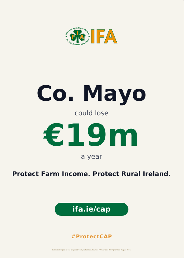 IFAmedia's tweet photo. Mayo could lose up to €19 million a year.
IFA is campaigning for an increased CAP budget to protect farmers, farming families and rural communities across Ireland.
Here’s what’s at stake for Co. Mayo.
#ProtectCap https://t.co/PfvhDTPVwB