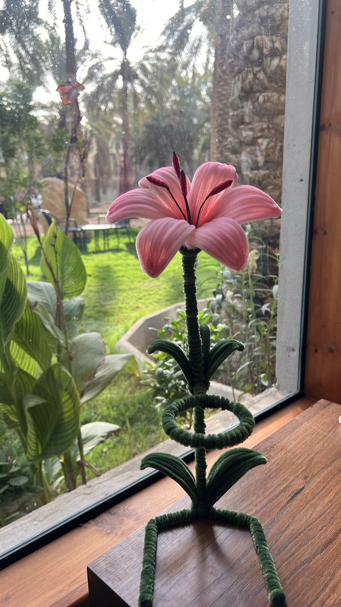 brw116's tweet photo. 🌸🌺🌴 ستاند القهوه مغرمه فيهم واحد لي والثاني لصديقتي https://t.co/z4JSJxAL9L