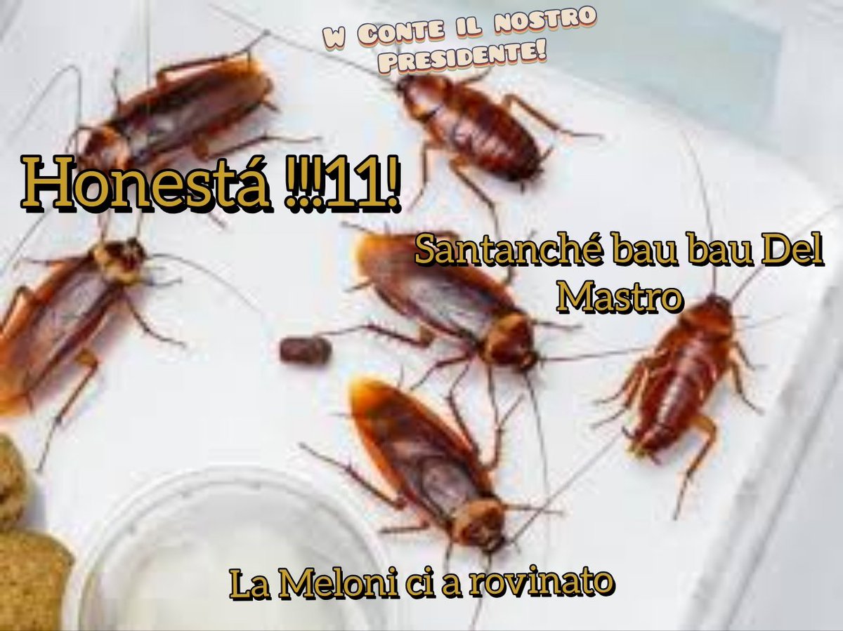 ThorinPie's tweet photo. @claudiodamico72 Maledetta Melonah che ha pakatoh Lavitola.... https://t.co/5qvPQgcl2y