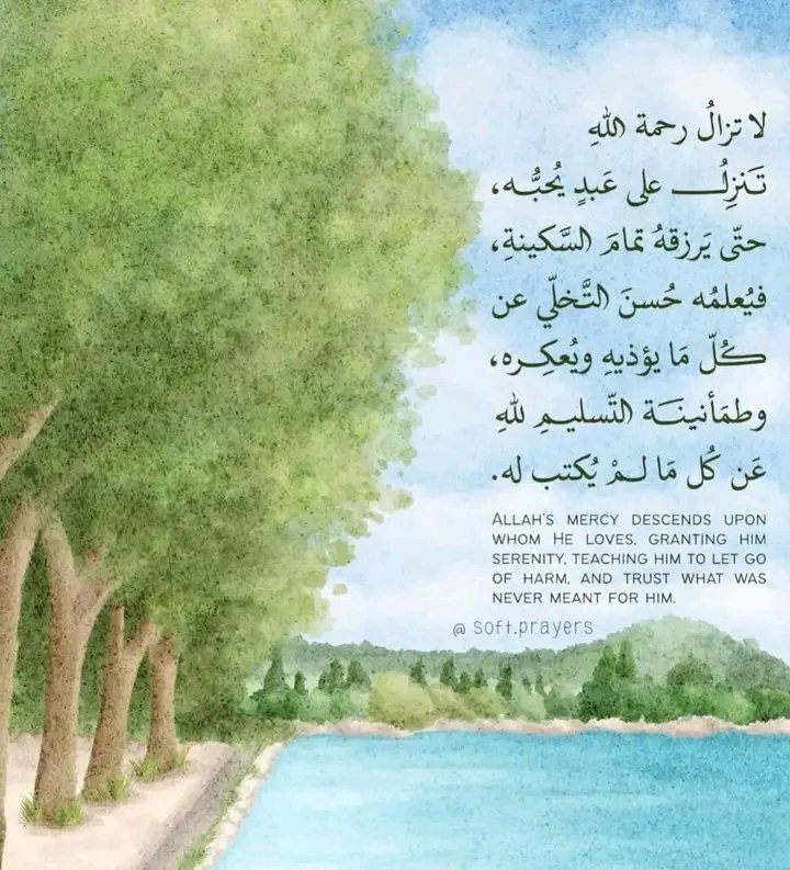 ywsfzm15's tweet photo. *

🩵🌿 https://t.co/Ch02GmgEmZ
