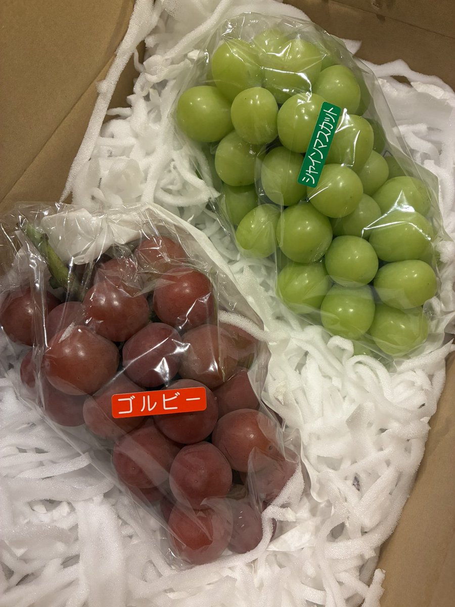 lillysho's tweet photo. 急いで帰宅し、宅配��をピックアップ。
山梨出身の女子が送ってくれた、
初めてのゴルビー！
旧ソ連のゴルバチョフ大統領の愛称にちなんで名付けられたとか。
ごちそうさま😋
#山梨 #ぶどう #シャインマスカット https://t.co/0vRcyRBvK9