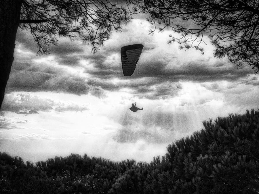 marco5ales's tweet photo. Paragliding in the Forest
ArtPrinthttps://fineartamerica.com/featured/paragliding-in-the-forest-marco-sales.html
#sunset #blacknwhite #landscape #sunrise #nature #sky #sports #tree #flycatcher #ayearforart https://t.co/C4CFR5cnof