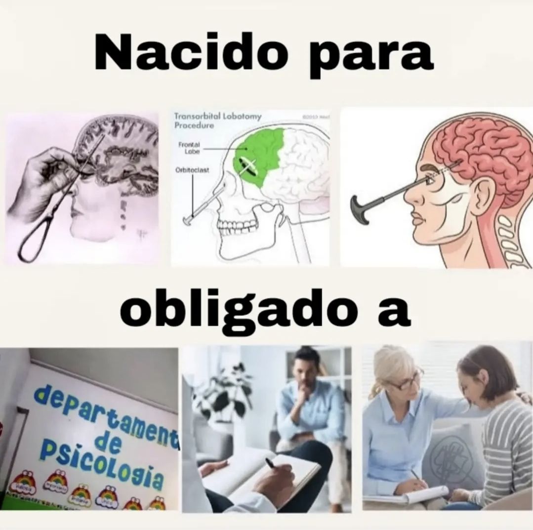 wikipistacho's tweet photo. https://t.co/t4Fl5Ybm61