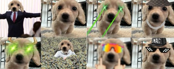 OGhigheronsol1's tweet photo. This market was built on the foundation of cute dogs  

 This Is Bob    

cute dog   

 endless memes https://t.co/IX44ReODDH