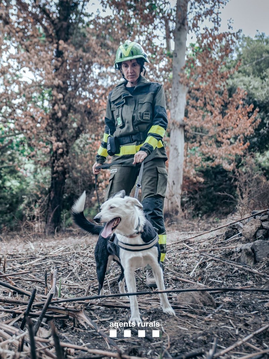 agentsruralscat's tweet photo. 🔥🌳 Avui és el Dia Mundial de la Prevenció d’#IF.

Els #AgentsRurals treballem cada dia sobre el territori per prevenir els incendis forestals i protegir els nostres boscos i el patrimoni natural.

La prevenció és una responsabilitat compartida.

#WorldForestFirePreventionDay https://t.co/I8ubP81wF4