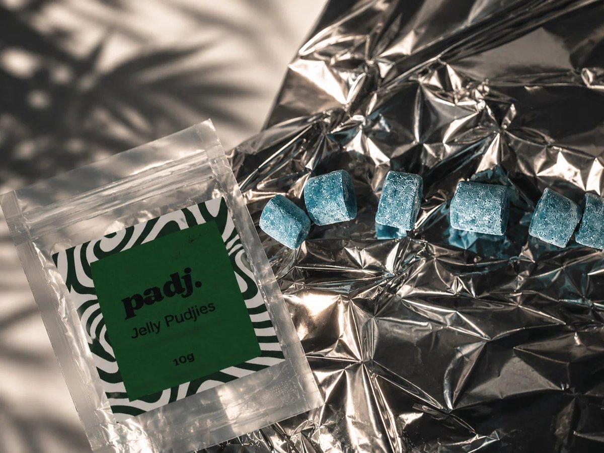 PadjZA's tweet photo. A little sweet. A little bold. Very Padj. 💚

Built for the grind.

#Padj #BuiltForTheGrind https://t.co/W32yik3kCW