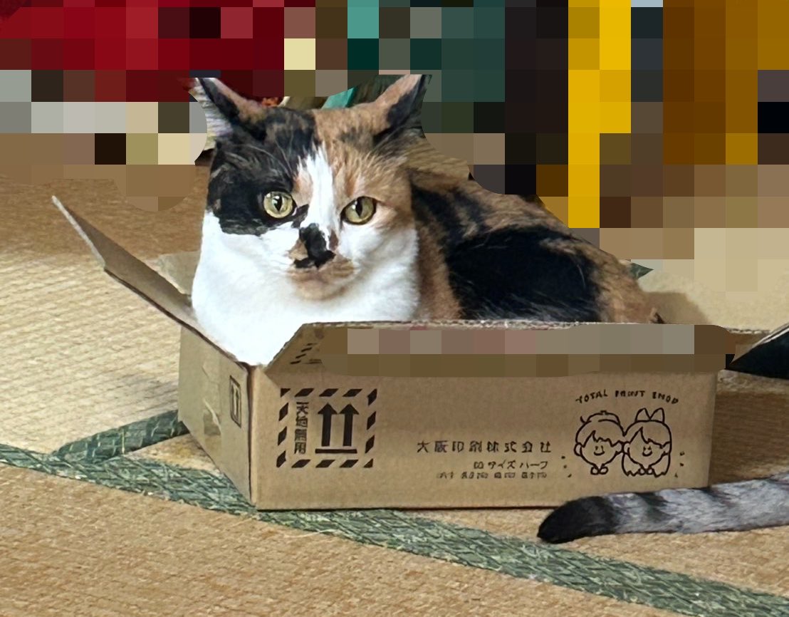 _N0Z0MU__'s tweet photo. 実家に帰省してたので実家で受け取りました！
初イベ参戦おたクラブさんに印刷お願いしましたありがとうございます！ https://t.co/Xc8Tdmp7LC