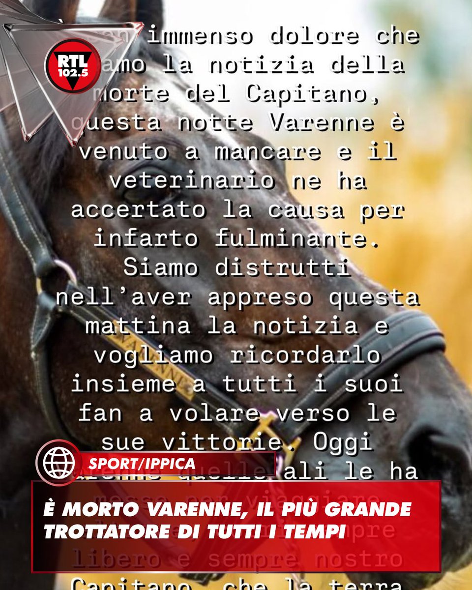 rtl1025's tweet photo. 🐎 Lutto nel mondo dell'ippica: è morto Varenne, il più grande trottatore di tutti i tempi. "È con immenso dolore che diamo la notizia della morte del capitano", si legge sulla pagina Instagram del leggendario cavallo, deceduto a 31 anni mentre si trovava nell'allevamento LJ a Eboli, in provincia di Salerno dove ha trascorso gli ultimi anni.

📸 Instagram | @varenne_official