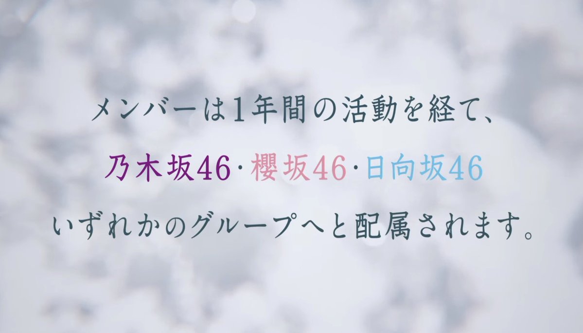青葉坂46メンバー募集！1年間の活動を経て乃木坂・櫻坂・日向坂のいずれかに配属