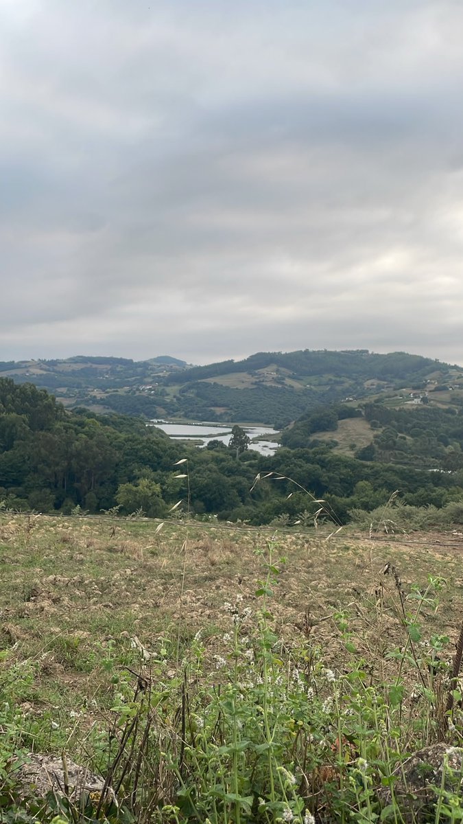 kiirabloom's tweet photo. Being in nature relaxes me a lot https://t.co/aElWD6kxMX