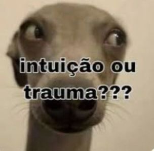 xheleninha's tweet photo. ?? https://t.co/uBHLiZND1w