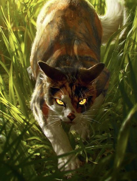 WCpairingstwt's tweet photo. The first pairing of the day is Mapleshade x Yellowfang (romantic)! https://t.co/QCGrwgu5ke