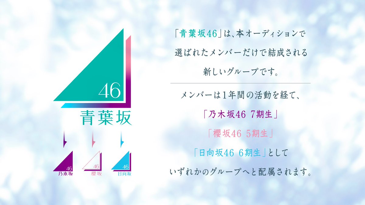 aobazaka46's tweet photo. 「#青葉坂46」は、本オーディションで選ばれたメンバーだけで結成される新しいグループ。

メンバーは「青葉坂46」としての1年間の活動を経て、#乃木坂46 ・ #櫻坂46 ・ #日向坂46 のいずれかのグループへと配属されます。

https://t.co/NjS5IqENYS

#青葉坂46オーディション https://t.co/O3l7zm6jhr