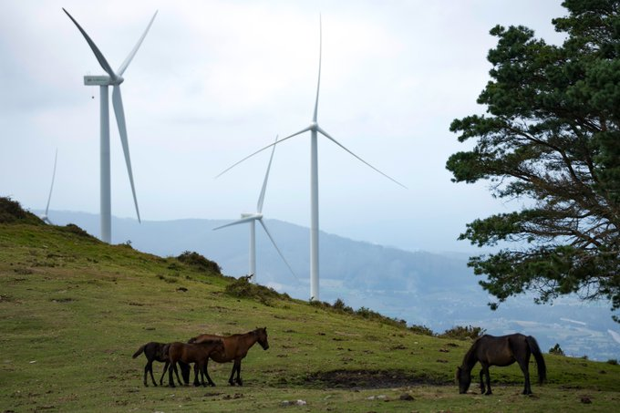 iberdrola's tweet photo. 🐎🐴 Caballos en la naturaleza junto a nuestros parques eólicos cerca de Navia, en Asturias.

Integración TOTAL de las renovables, la ganadería y el entorno 🙌 https://t.co/jlN1kR25bx