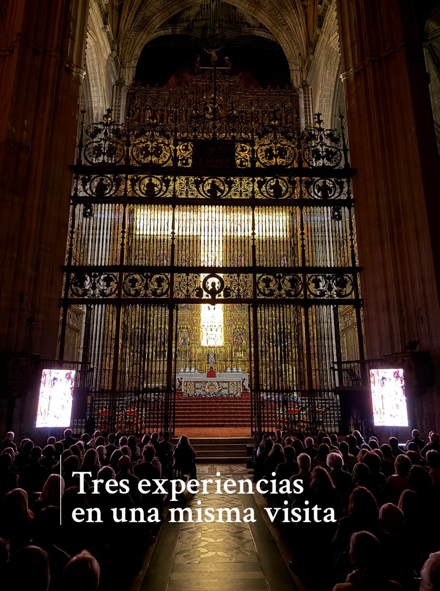 CatedraldeSev's tweet photo. La Catedral de Sevilla ofrece este sábado una nueva visita guiada nocturna para descubrir el templo desde una perspectiva diferente.

El recorrido incluye algunos de sus espacios más significativos, el ascenso a la Giralda y la experiencia audiovisual «El Evangelio de Madera», centrada en el Retablo Mayor.

Una propuesta para acercarse a la historia, el arte y el significado religioso de la Catedral al caer la noche. Sábados a partir de las 19:45 h con plazas limitadas. Consultar disponibilidad.

Más información: https://t.co/G2Zixn60WQ

#CatedralDeSevilla #Sevilla #Patrimonio