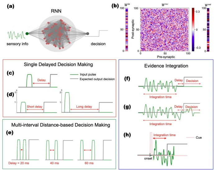 ceciliajarne's tweet photo. 🚨New Paper (Journal of Computational Neuroscience)! Nuevo paper!
How do RNNs keep time for decisions? 
We show they use either integration or oscillatory dynamics—and that this temporal representation is distributed across the population, not localized to specific neurons👇Link https://t.co/tQwSDb2EAG