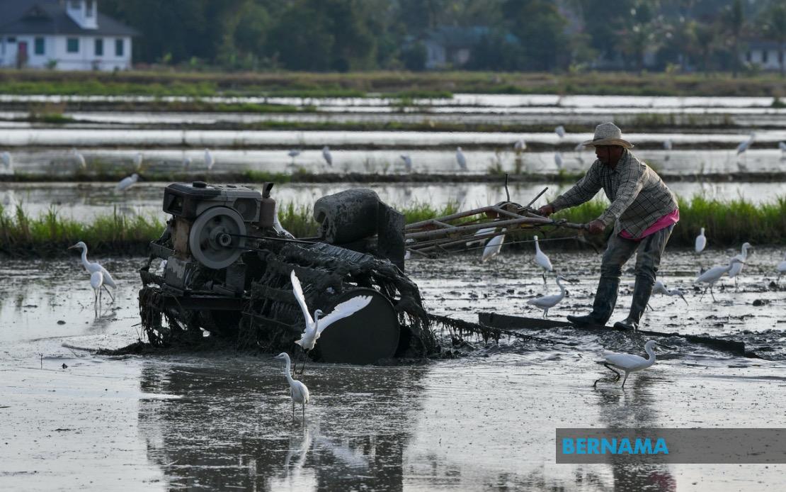 bernamadotcom's tweet photo. MADA pergiat pemantauan, pastikan bekalan baja padi kepada pesawah dipercepat
https://t.co/V5NsbpW2Eo
#BernamaNews
#MADA https://t.co/Ua0ZdFq9tv