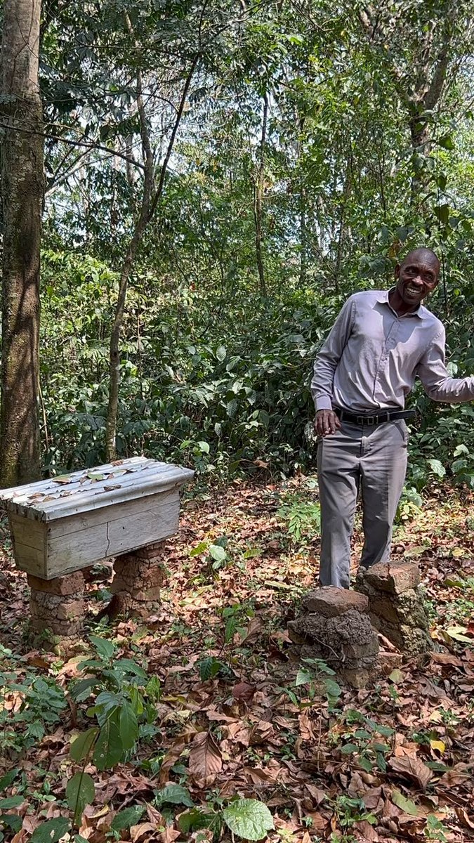 ECOTRUST_Ug's tweet photo. Before he became a conservation champion, Benon Bushoborozi was a hunter and illegal tree cutter in Queen Elizabeth National Park.

In 2002, he joined ECOTRUST’s Trees for Global Benefit programme and planted his first trees.

That decision changed everything.

#EcotrustUgAt27 https://t.co/aVT6n2seg1