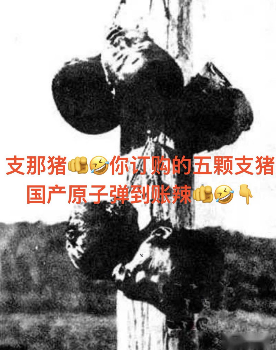 shinadead's tweet photo. @wenjiallrv @OGAWAmwaru @crystalzhangp @TReverie 支那猪滚过来找你祖宗😁 https://t.co/JUydalI6oH