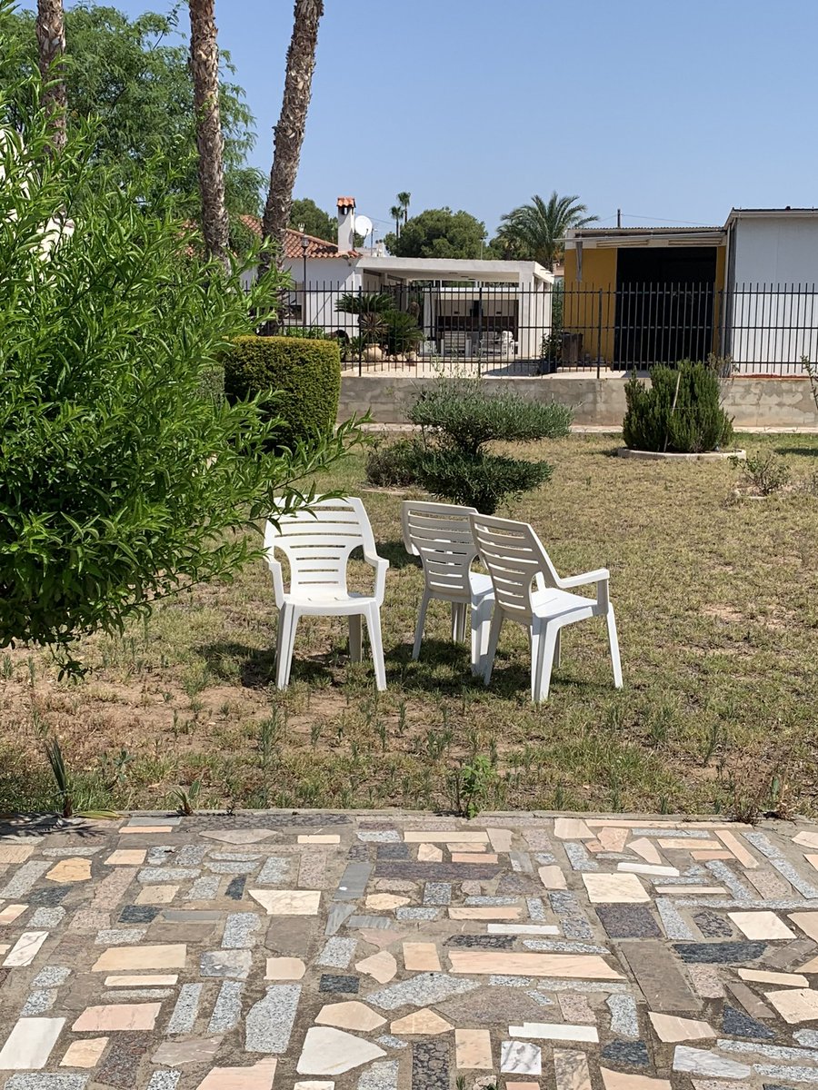 Dani6CBP__'s tweet photo. Vaya, Alicante ahora es Puerto Rico, porque tenemos sillas de plástico para charlar en un jardín y palmeras. https://t.co/ZpIAJdHGU4