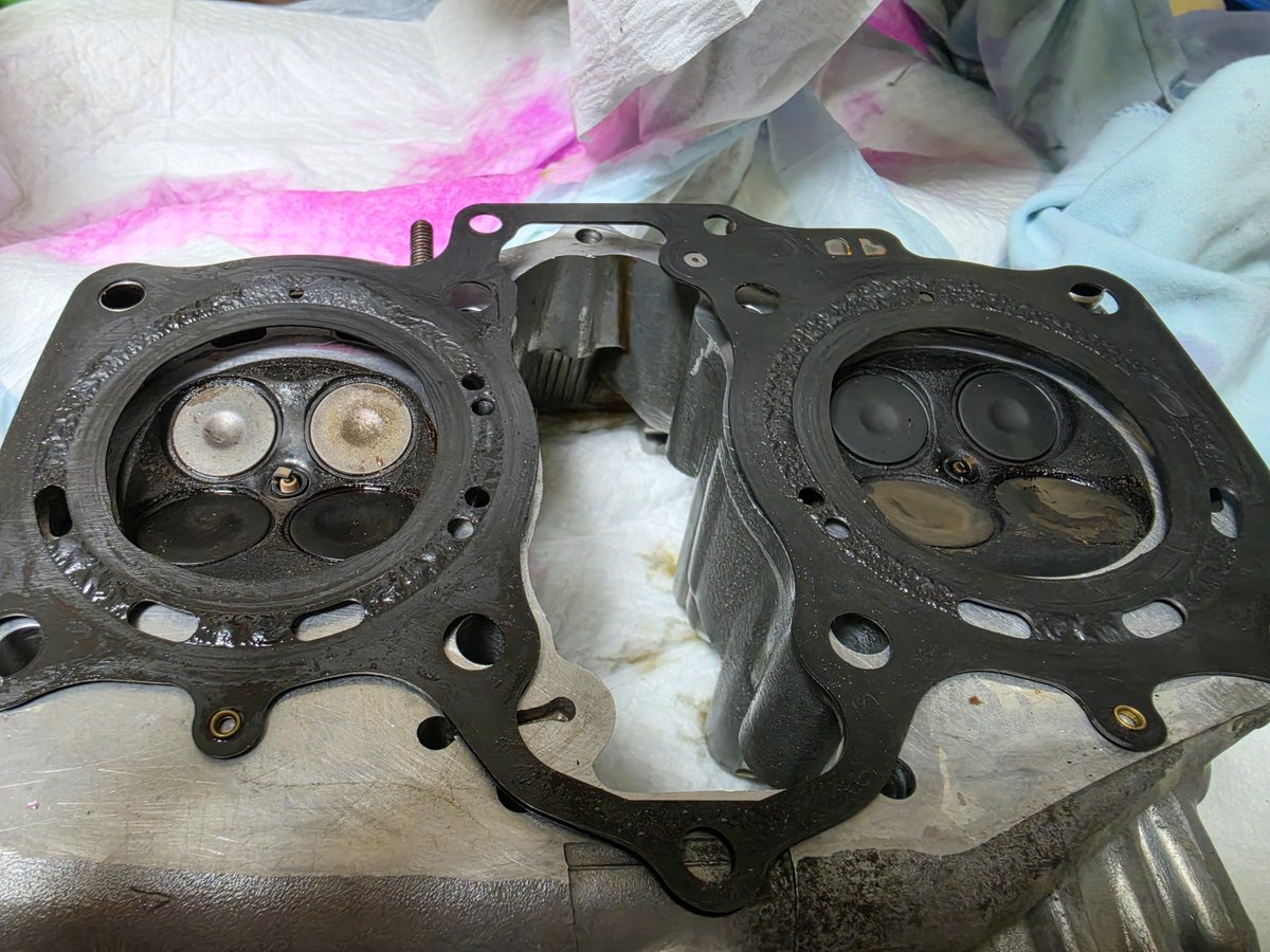 v4engine_Baka's tweet photo. ガスケット抜けたっぽいヘッド開けてみたらガスケットこんなんになってるんですが....#nc35 #rvf #nc13e https://t.co/Hqrf1CDTGR