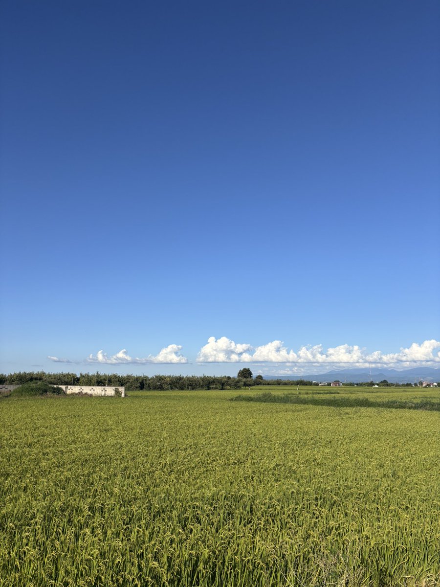 miu_mint03's tweet photo. 田舎~🍃🌾
高い建物がないだけでこんなに空が綺麗に見える☁️ https://t.co/hxr2PP9gKy