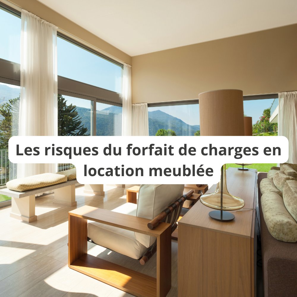 imodirect's tweet photo. En meublé, si le bailleur choisit le forfait de charges et que le locataire souhaite un contrat d'électricité à son nom, la situation se complique.

Idem en cas de panne de box internet. Les litiges liés à une surconsommation sont aussi difficiles à résoudre. https://t.co/TqA1mxiKTw