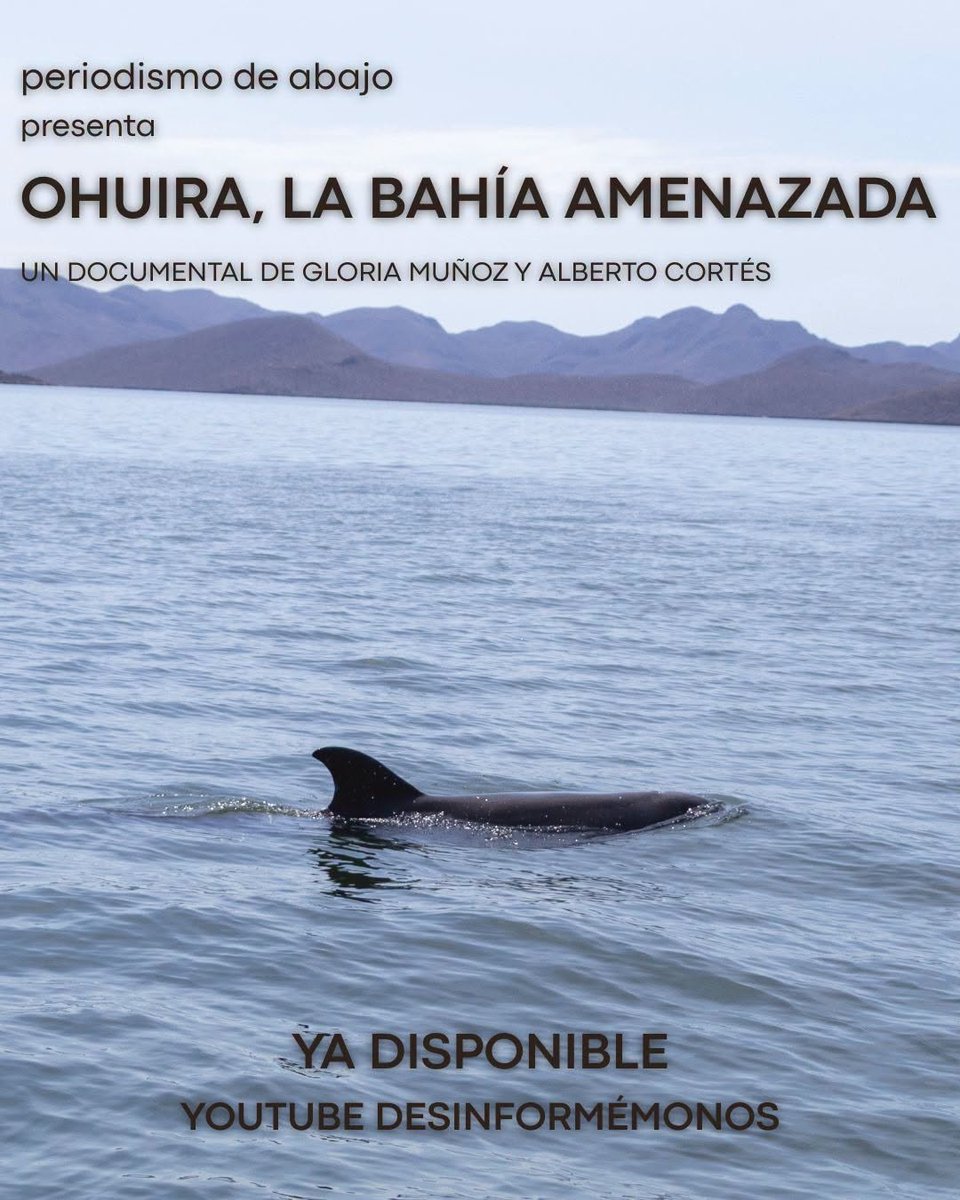 Desinformemonos's tweet photo. 🐬En la cosmovisión yoreme, “todo lo que tiene vida tiene voz. El mar tiene voz, el monte, el aire, los animales”.

🌊"Ohuira, la bahía amenazada" es un documental sobre la lucha del movimiento ¡Aquí no! contra una planta de amoniaco en Topolobampo.

🎥🔗 https://t.co/l4gGTOXRpS https://t.co/nBgnv1Uuvq