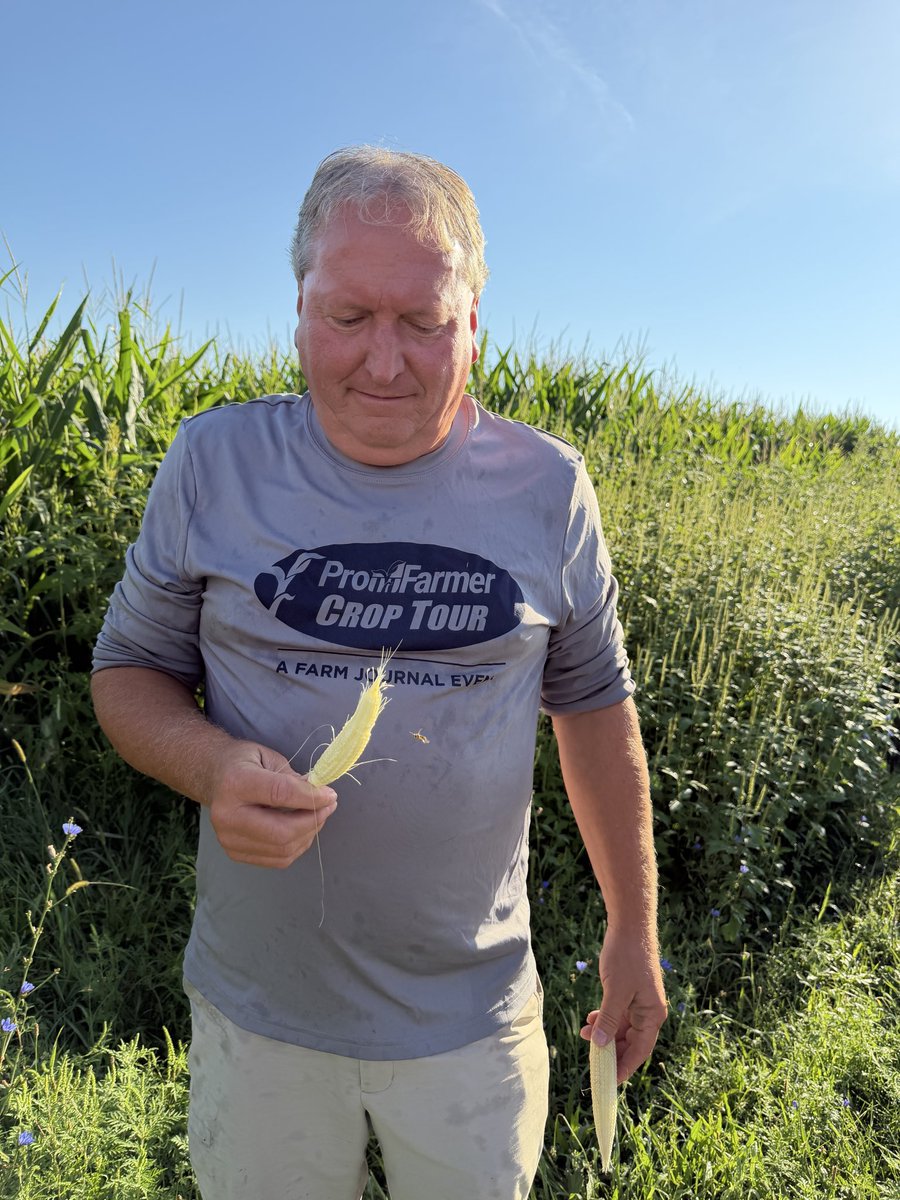Tyne_Ag's tweet photo. What’s been the biggest surprise on the Eastern leg of #PFTour26? Just how immature this crop is. The weeds were horrific in this Indiana cornfield. We know there’s been replanting in the area, but I’m not sure how late this field was planted. At 108 bu./acre, that’s less than half of what fields along this route would normally produce.

@ValleryDornIns thinks this just may be the smallest ear he’s ever sampled on tour. This is just one stop…. We have a long way to go yet today. Hopefully we will see some better corn soon.