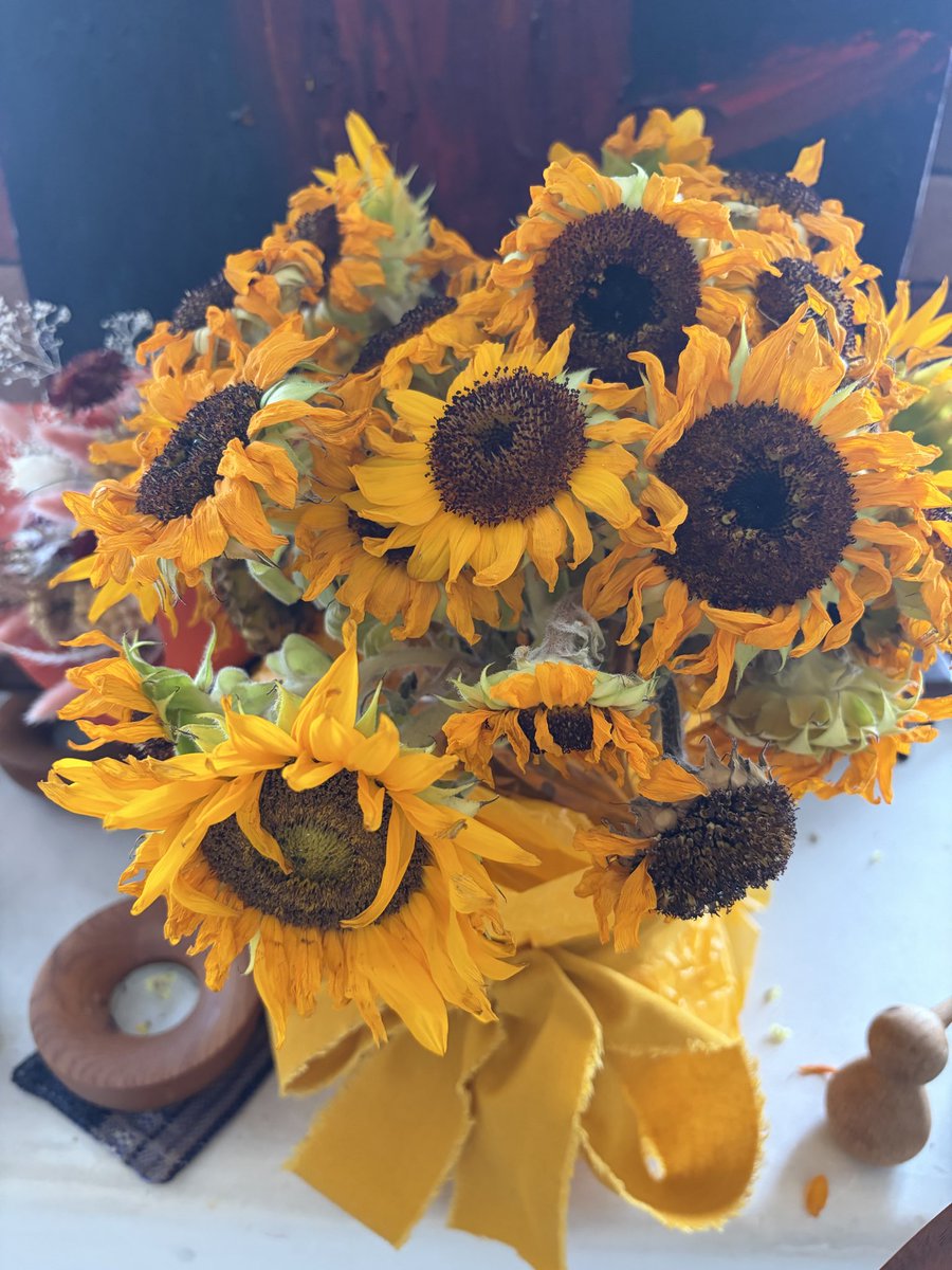 ChizuruA1's tweet photo. 花が好き。花瓶に生けて、毎日水を換える作業も好き。
そして、枯れゆく過程を見るのも好きなので、限界ギリギリまで鑑賞する。
枯れていくことに切ないとか寂しいという感傷とは違う、なんていうか、「枯れる＝失われていく」ではなく、花が花でなくなっていく時間まで含めて、その生命の姿を見ている感覚。

つぼみが開いて、満開になって、少しずつ色や形が変わり、茎がしなやかさを失っていく。その一つひとつを「終わり」としてではなく、同じ花が見せてくれる別の表情として眺めている感じ。

だから、限界ぎりぎりまで水を替えて、生けておく。そして、枯れた花そのものも美しいなあと思いながらサヨナラをする。

生きていることを、自然な時間の流れの中で眺めているような。
「美しいものは、永遠に美しくあってほしい」ではなく、変わっていくからこそ、その瞬間、その姿が美しいのだと思っている。