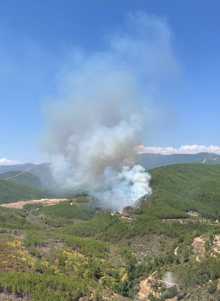 PLANINFOEX's tweet photo. ℹ️Declarado #IFPinofranqueado

👉🏽De nivel 1 por posible afección a poblaciones

En extinción 🚒 con medios del @PLANINFOEX, bomberos de @DiputacionCC y efectivos de @guardiacivilcc 

🧑‍🚒3 unidades de bomberos forestales terrestres + 1 helitransportada
👮1 agente del Medio Natural + 1 técnico de extinción
🟰36 intervinientes

🚁3
✈️4
🚜2 unidades de maquinaria pesada

📸15:10