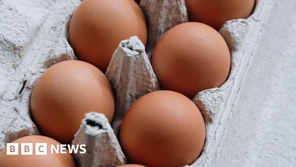 BBCLondonNews's tweet photo. One dead and hundreds ill in UK salmonella outbreak ➡️ https://t.co/PVV2Jhra3O https://t.co/DwMagV8yGe