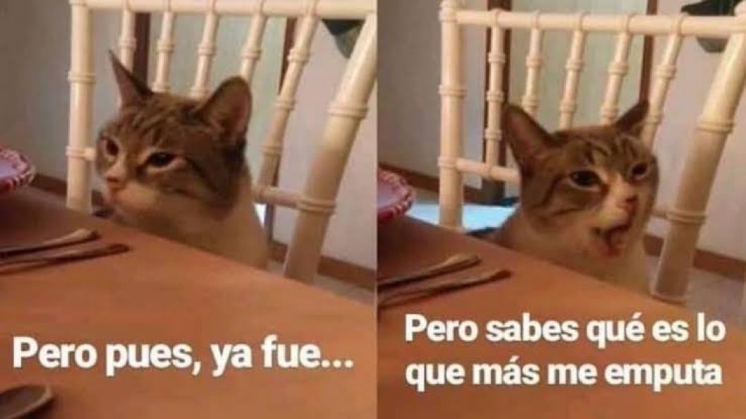 MerGarza's tweet photo. Yo con el caso de Lindsay Clancy: https://t.co/EIuBbBgIZq